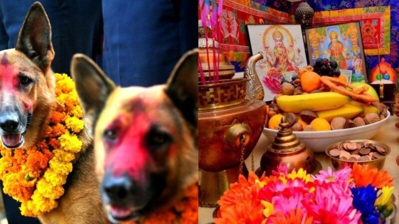 तिहारको दोस्रो दिन : कुकुर पूजा र लक्ष्मी पूजा गरिँदै