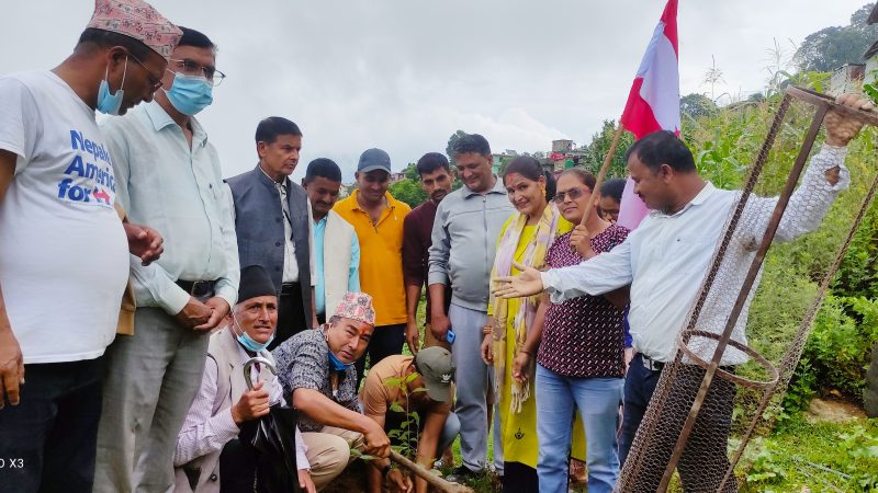 बिपि कोइरालाको स्मृति दिवसको अवसरमा काङ्ग्रेस अछामले गर्‍यो, वृक्षरोपणका साथै अन्तरक्रिया कार्यक्रम