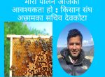 माैरी एक काम अनेक ।