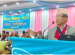 आर्थिक संकटबाट पार लगाउन नसक्ने भए सिंहदरबार जानुपर्दैन : धनराज गुरुङ