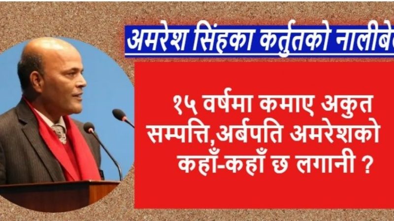 १५ वर्षमा कमाए अकुत सम्पत्ति, अर्बपति अमरेशको कहाँ कहाँ छ लगानी ?