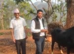 लम्पी स्किन रोगको महामारी फैलिएपछी पशु प्राविधिकको टोलि सहित कृषकको घर आगनमा नगरप्रमुख ढकाल