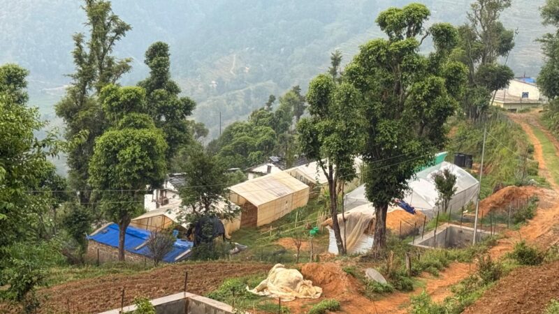 अछामको नेपाल राष्ट्रिय माध्यामिक बिधालयका विद्यार्थी  पढ्दै कमाउदै
